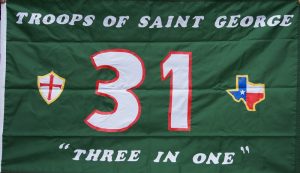 TSG Troop 31 Flag